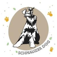 raza de perro schnauzer, de longitud completa, cachorro divertido vector