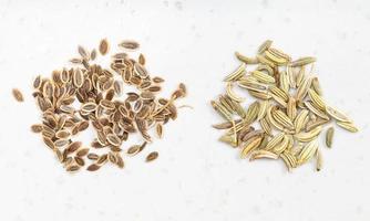 two pinches of dill and fennel seeds on gray photo