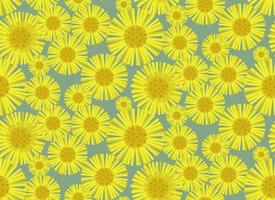 Seamless pattern with mother and stepmother. Texture with wildflowers in cartoon style. vector