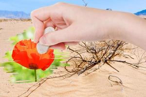 hand deletes dry sand desert by rubber eraser photo
