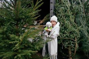 Woman with a white dog in her arms near a green Christmas trees photo