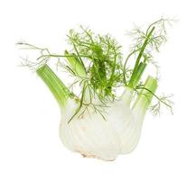 ripe Florence fennel stalk with foliage isolated photo