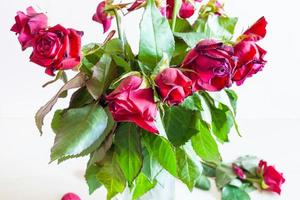 bouquet of wilted rose flowers on pale background photo