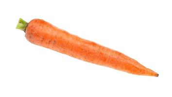 single fresh organic garden carrot isolated photo