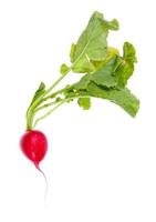 fresh organic red radish with greens isolated photo