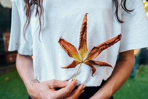 Woman hold nice yellow leaf in hand. photo