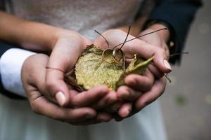 Bride and groom holding wedding rings and autumn leaves in hands photo