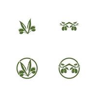 Diseño de ilustración de icono de vector de plantilla de logotipo de oliva