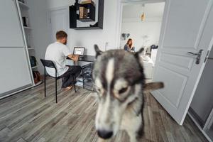 Dad works at laptop, mom and baby on the bed photo