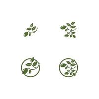 Olive logo template vector icon illustration design