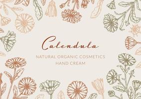 Calendula horizontal packaging design with hand drawn elements. Vector illustration in sketch style