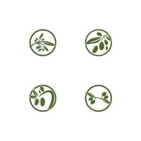 Olive logo template vector icon illustration design