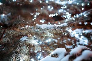 Christmas tree with cones on a city street illuminated with a garland. photo