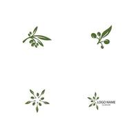 Olive logo template vector icon illustration design