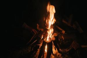 hermoso fuego en el bosque sobre un fondo negro. foto