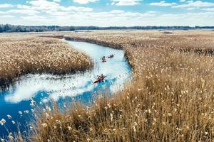 Group of people in kayaks among reeds on the autumn river. photo