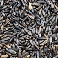 whole-grain niger seeds close up photo