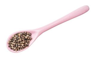monk's pepper vitex in ceramic spoon isolated photo