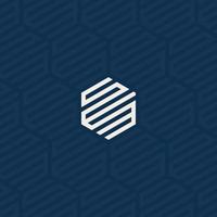 SWM or SEM hexagonal logo with background pattern design vector