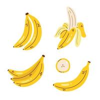 juego de plátanos vectoriales. racimo de plátano, plátano pelado y rodaja de plátano. linda colección con plátanos. fruta tropical. vector