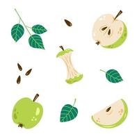 Vector apple set. Colorful collection of whole apple, apple half and slice. Apple core. Green apples.