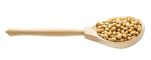 wooden spoon with raw dried soybeans isolated photo