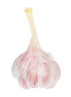 bulb of young fresh garlic isolated on white photo