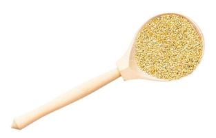 whole-grain foxtail millet seeds in wood spoon photo