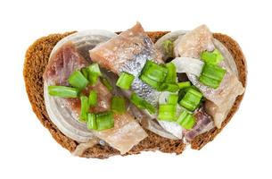 top view of open sandwich with herring and onion photo