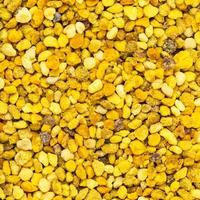 food background from natural bee pollen grains photo