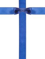 blue satin bows and ribbons isolated - set 9 photo