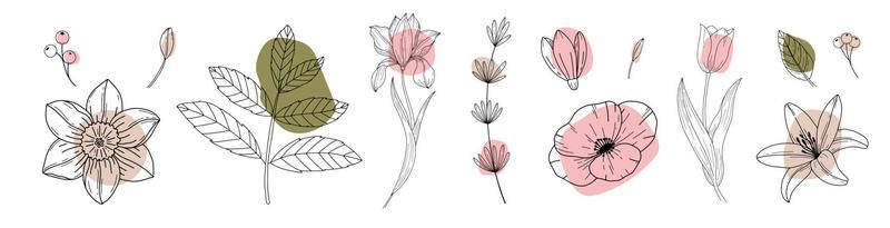 Set of flowers and leaf continuous Line art . Abstract Contemporary collage of geometric shapes in a modern trendy style. Vector for Beauty Concept, t-Shirt Print, postcard, poster