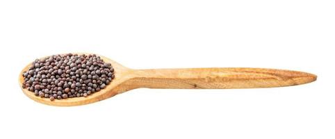 wooden spoon with black mustard seeds isolated photo