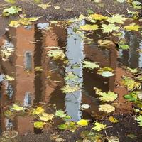 building is reflected in puddle with fallen leaves photo