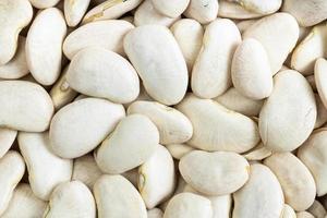 background - raw white lima beans photo