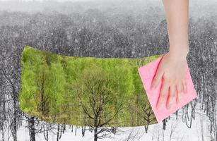 hand deletes snowing over winter woods by cloth photo