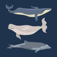 whales sealife three animals vector