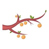 branch tree with oranges vector