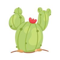 cactus dry plant vector