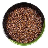 raw canihua grains in round bowl isolated photo