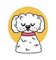 french poodle with necklace vector