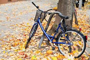 bicicleta estacionada en la calle con hojas de otoño en berlín foto