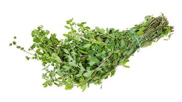 bunch of fresh marjoram twigs with buds isolated photo