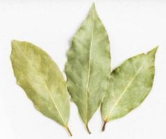 few natural dried Bay Laurel leaves on gray photo