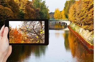 turista tomando una foto de un árbol cerca del canal landwehr