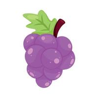 uvas frutas frescas vector