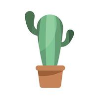 cactu houseplant in pot vector