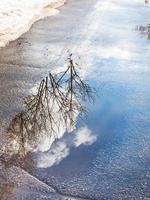 trees and clouds reflected in puddle in spring photo