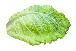 green leaf of savoy cabbage isolated on white photo