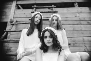 Three charming girls on a ladder near a wooden house photo